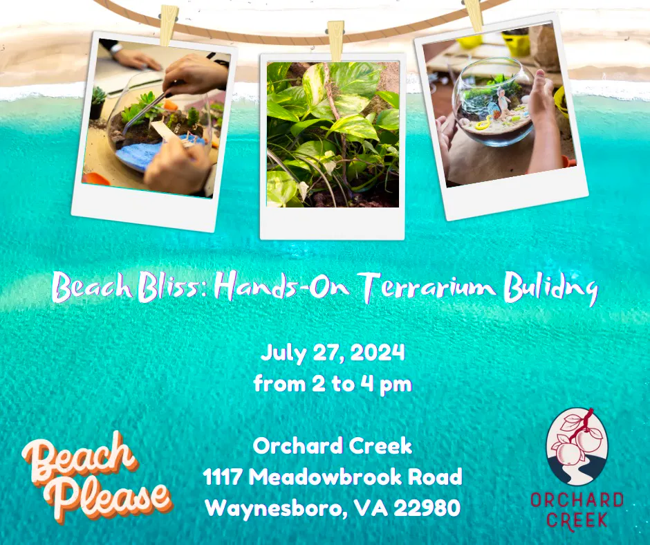 Beach Bliss HandsOn Terrarium Building Visit Waynesboro VA