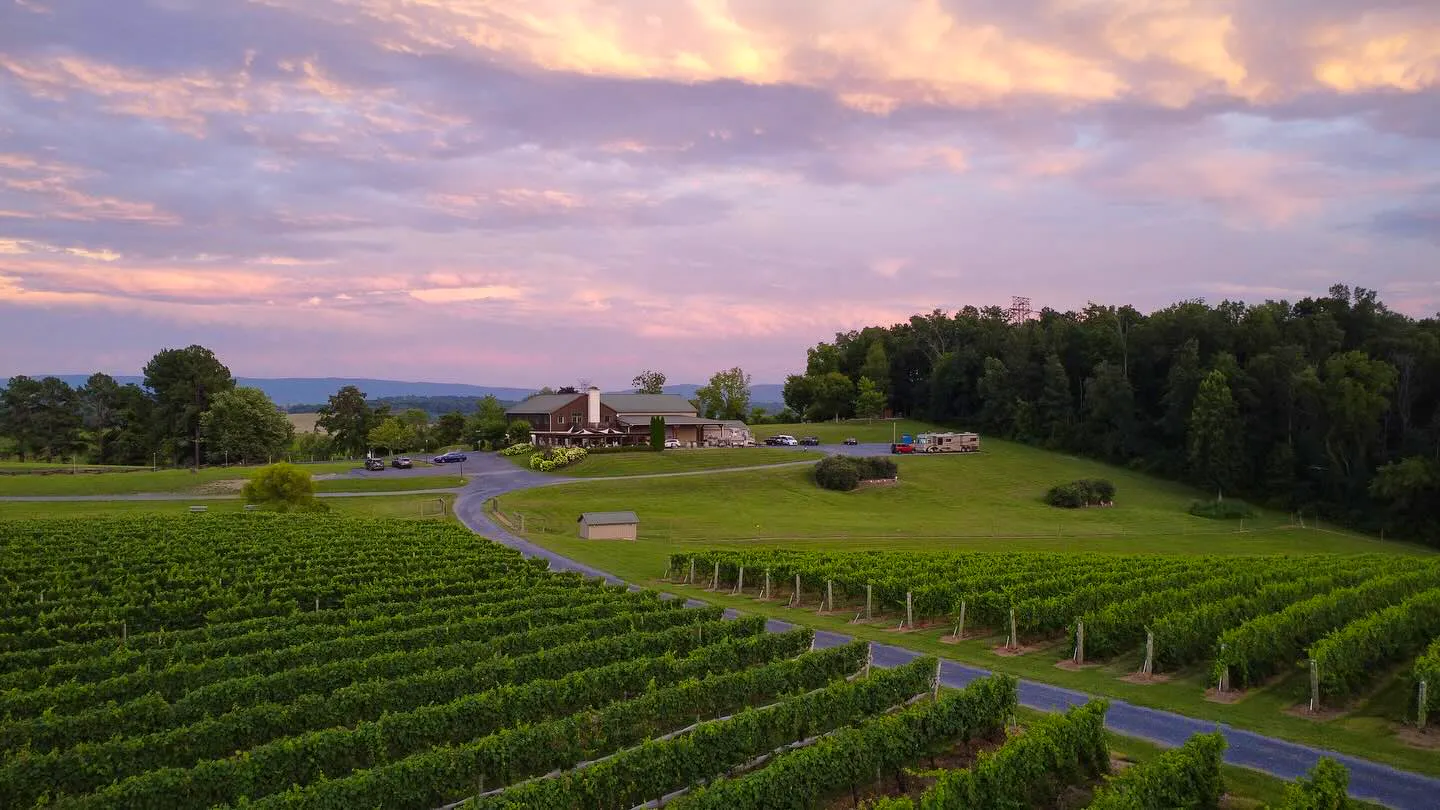 Live Music at Barren Ridge Vineyards