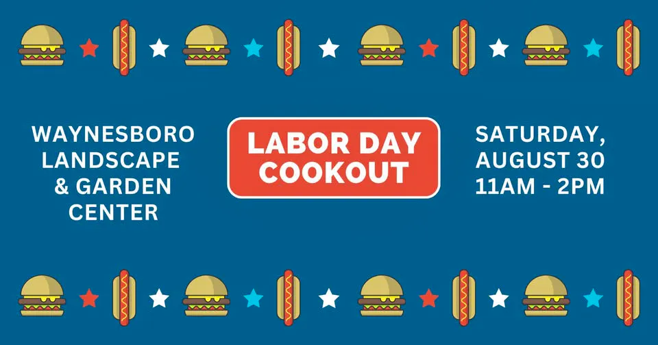 Labor Day Cookout
