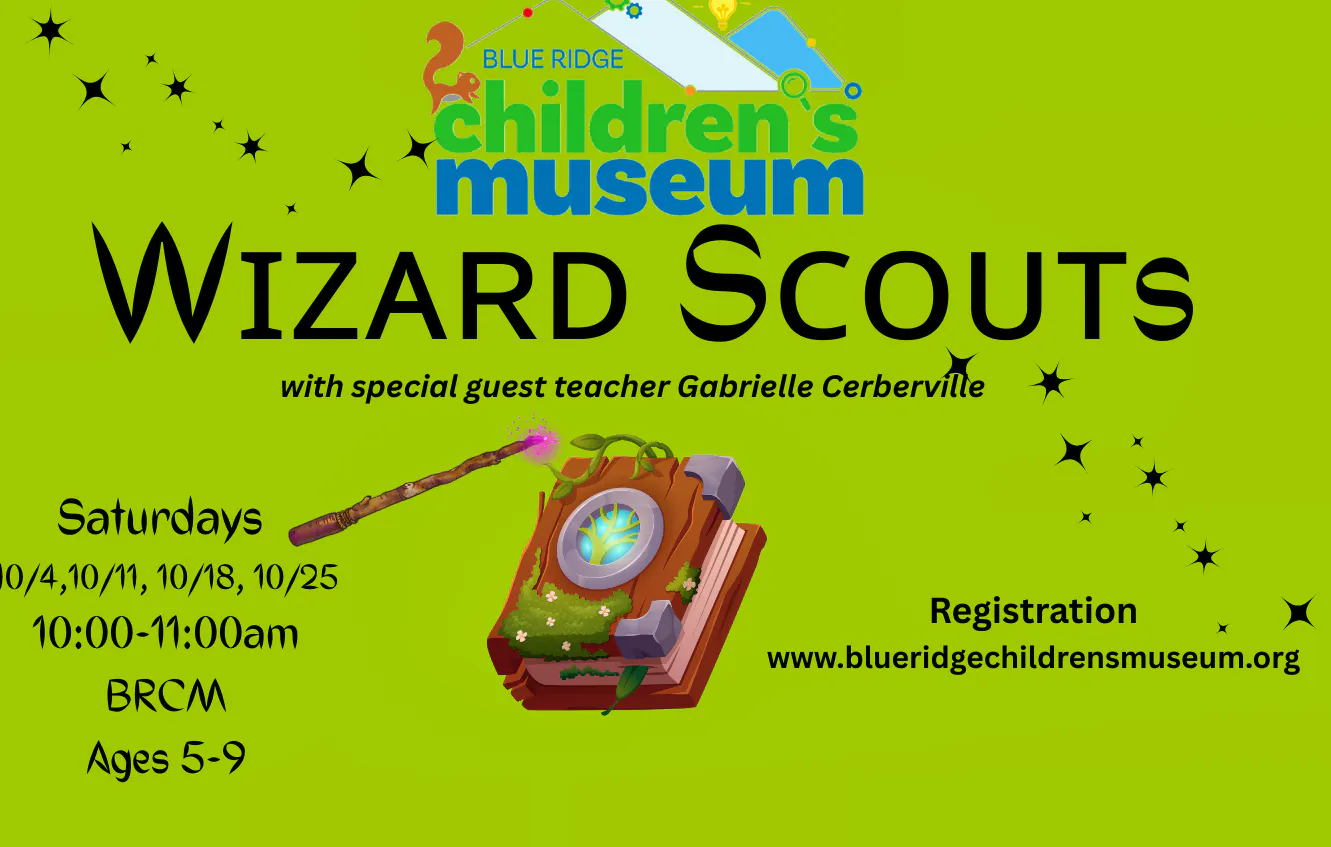 Wizard Scouts at BRCM