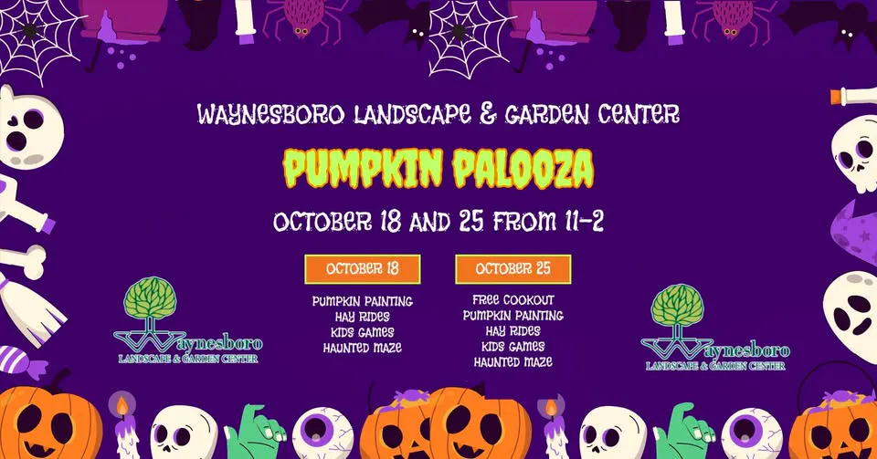 Pumpkin Palooza