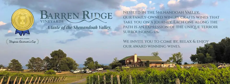 Hallowine Music Bingo