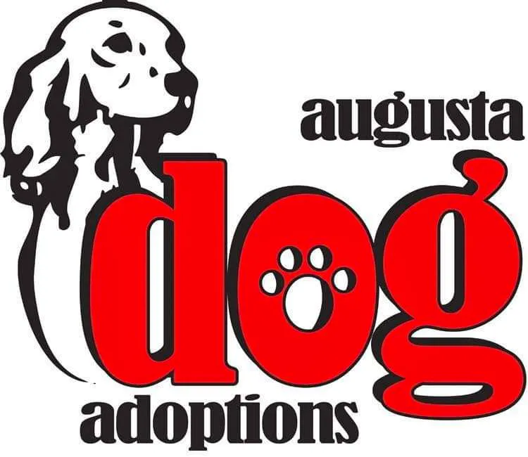 Puppy Love Adoption Event!