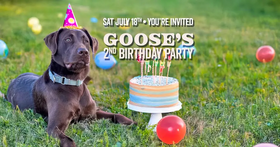 Goose’s 2nd Birthday Bash
