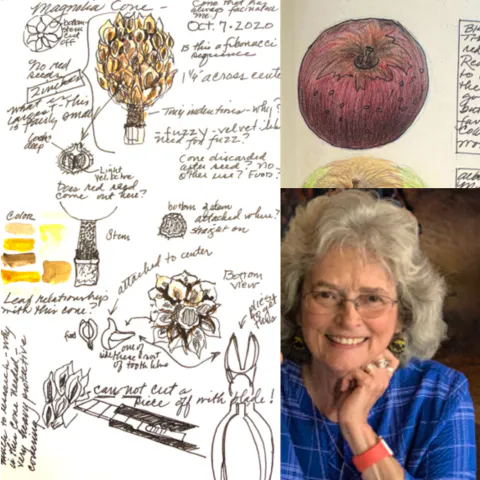 Nature Journaling with Rhonda Roebuck